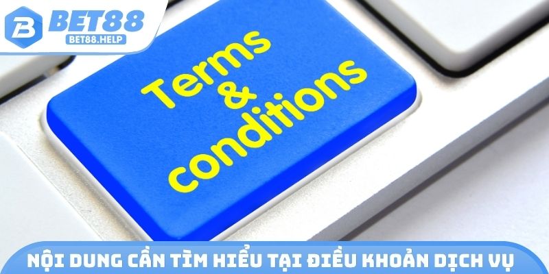 Nội dung cần tìm hiểu khi tham gia điều khoản dịch vụ