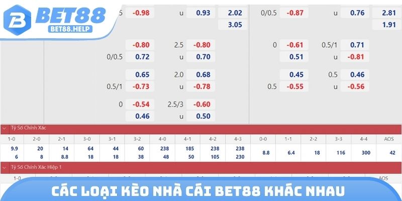 Các loại kèo nhà cái Bet88 khác nhau