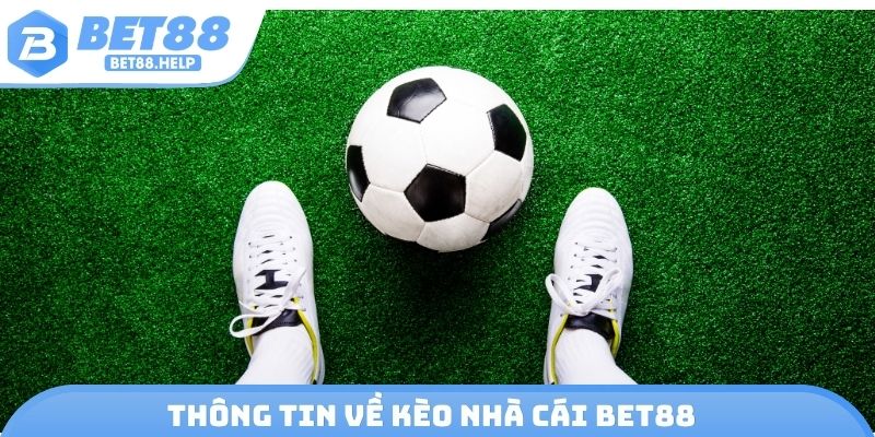 Thông tin về kèo nhà cái Bet88